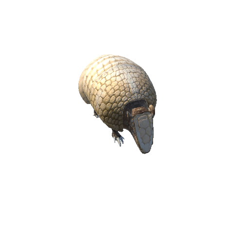 ArmadilloModelMiddlePoly