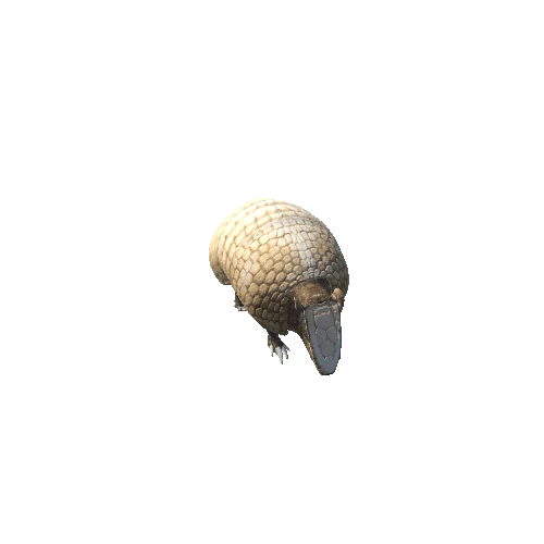 ArmadilloModelMiddlePoly