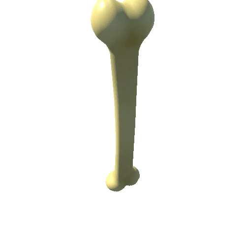 Bone