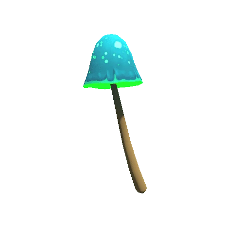 Mushroom_A2