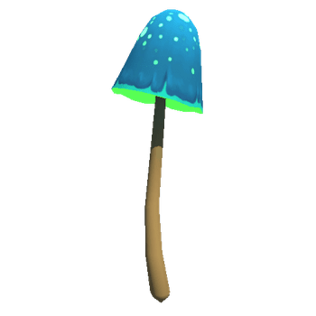 Mushroom_B2