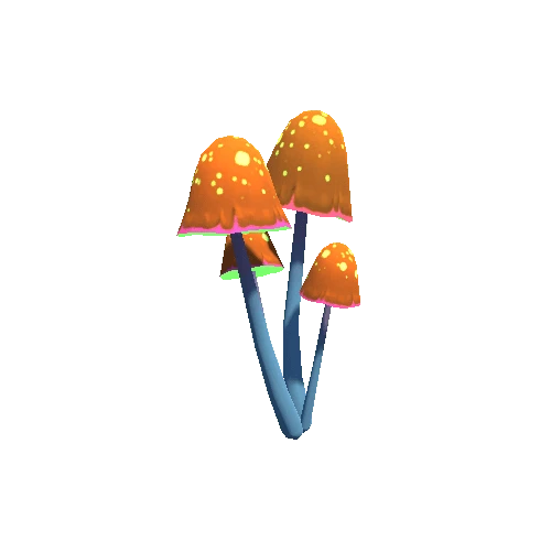 Mushroom_C1