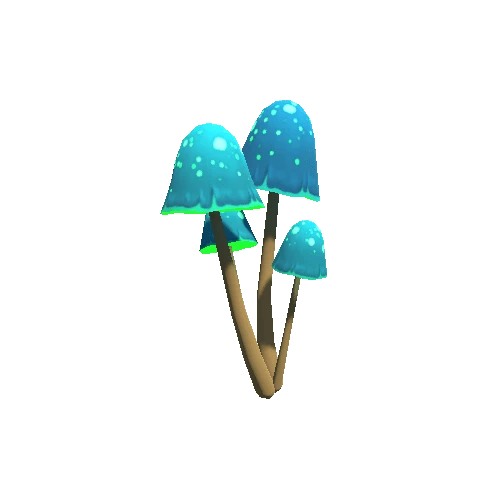 Mushroom_C2