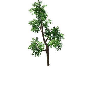 Tree_A