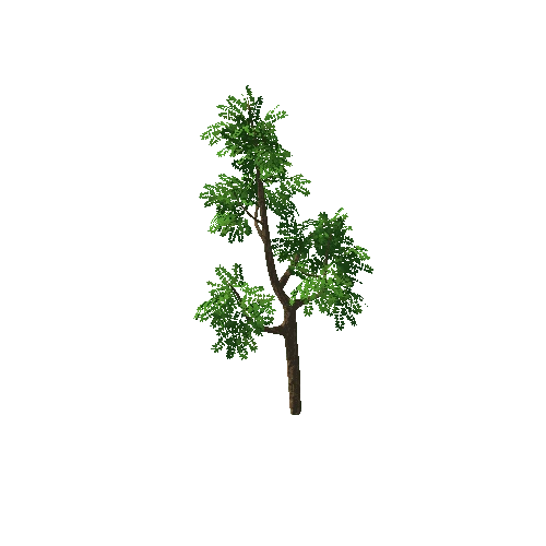 Tree_A