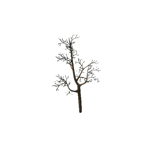 Tree_B