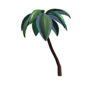 Palm_1