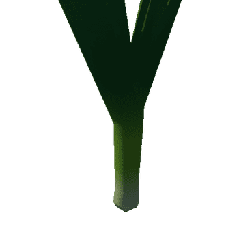 Leek