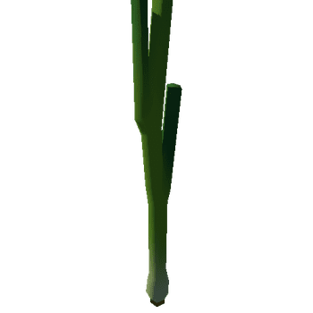 Springonion