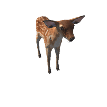 Deer_calf_HighPoly_RM