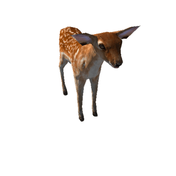 Deer_calf_LowPoly_RM