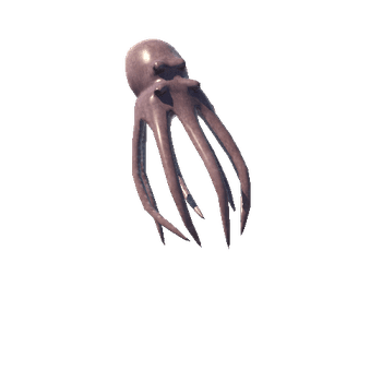 Octopus_02