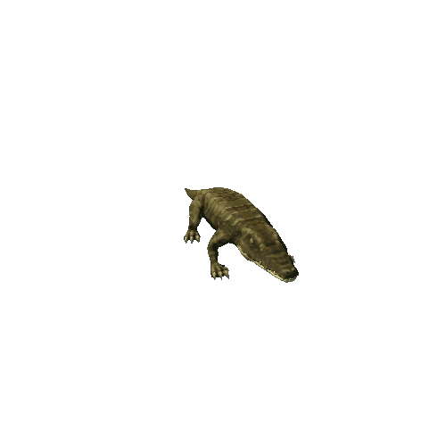 alligator_dark_light_camouflage