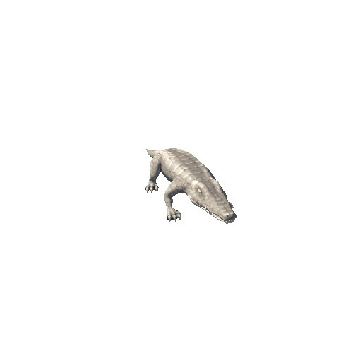alligator_white