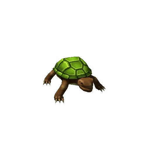 turtle_green1