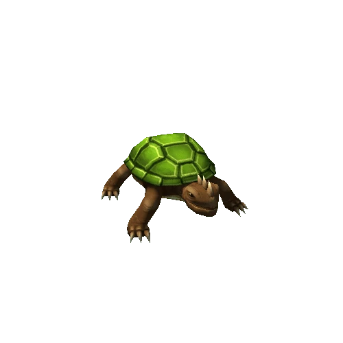 turtle_green6