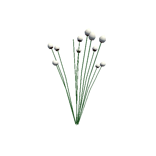 swamp_sedge_01