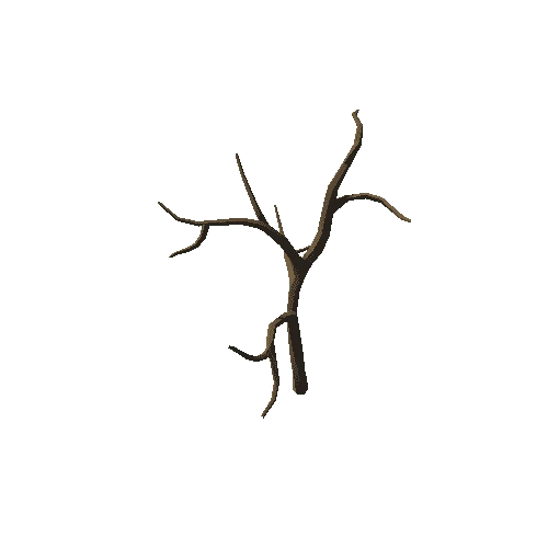 willowtree01_m