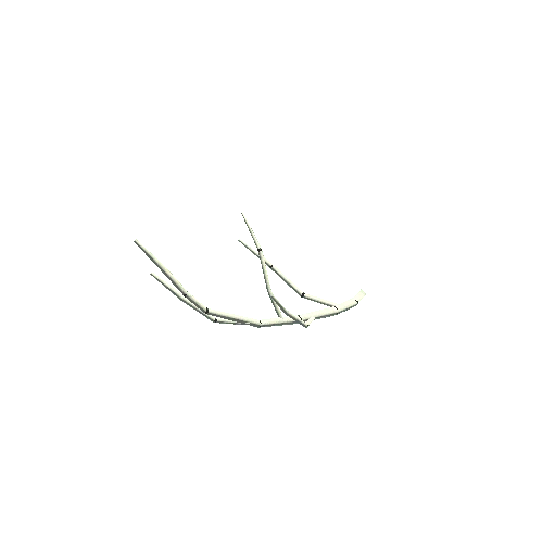 arctic_branch_03