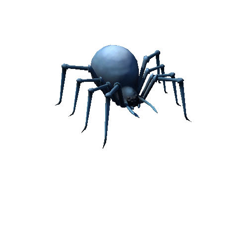 Spider_d