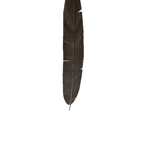 Feather