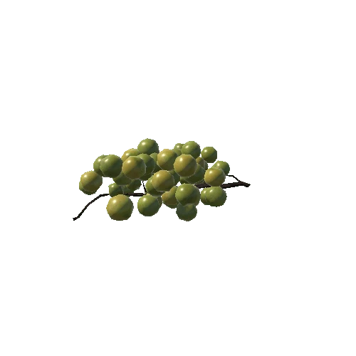 Grapes