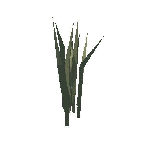 SM_Env_Reeds_01