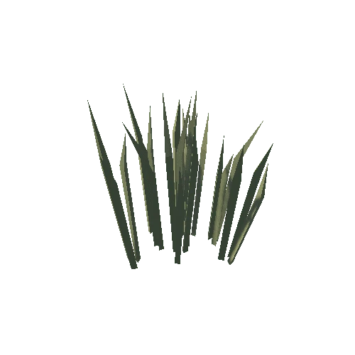 SM_Env_Reeds_02