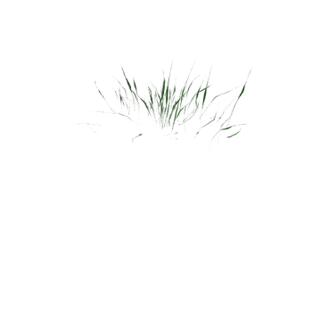 GrassGreen_qheqG2_04_1