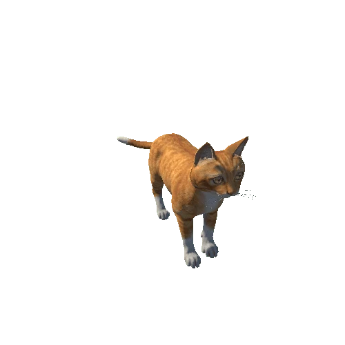 Orange_Cat_HIghPoly