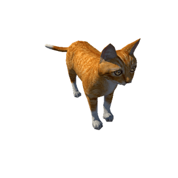 Orange_Cat_LowPoly