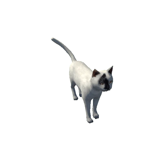 Cat_Fat_LowPoly_c7