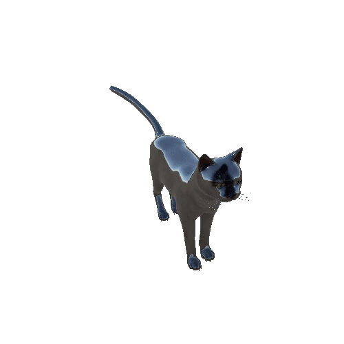 Cat_HighPoly_c7