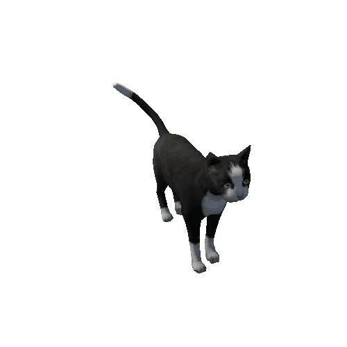 Cat_LowPoly_c1