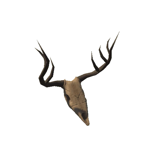 Skull_And_Antlers