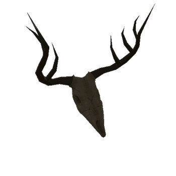Skull_And_Antlers_1