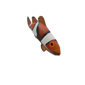 Clownfish