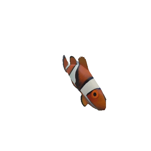 Clownfish