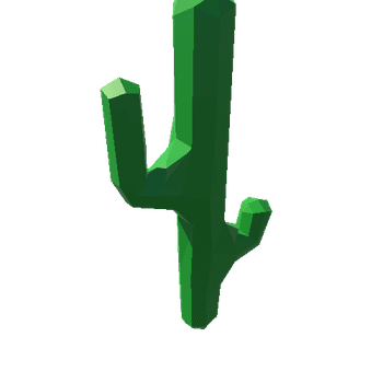 cactus5