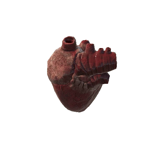 Heart_skin_2