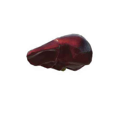 Liver_1_skin_3