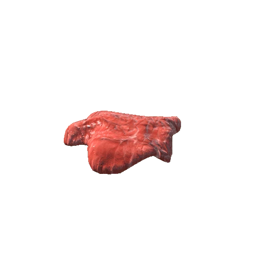 Meat_10