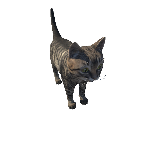 Kitten_HighPoly_c3