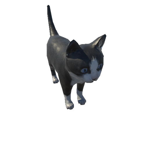 Kitten_LowPoly_c1