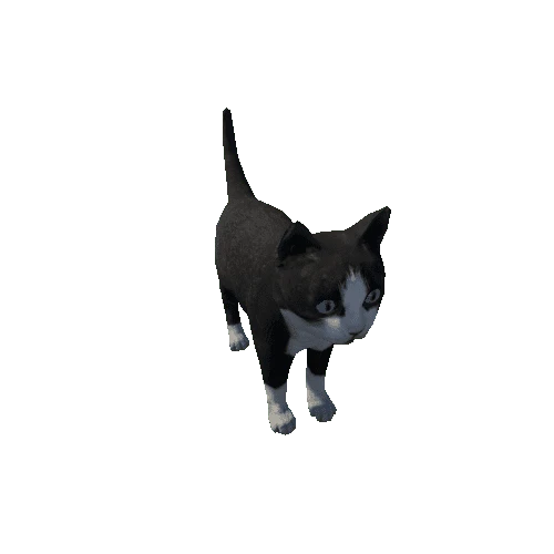 Kitten_LowPoly_c1