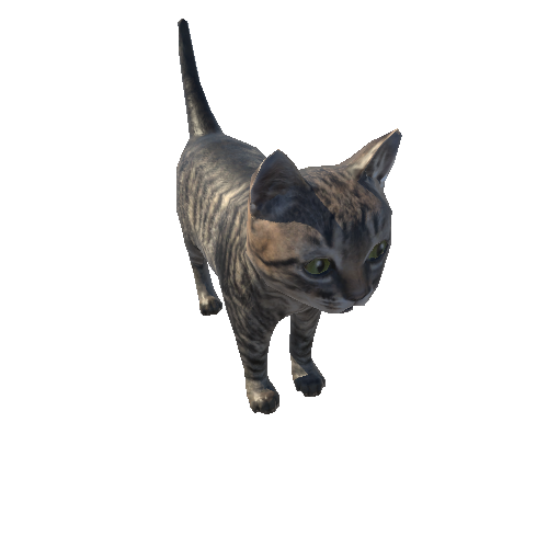 Kitten_LowPoly_c1