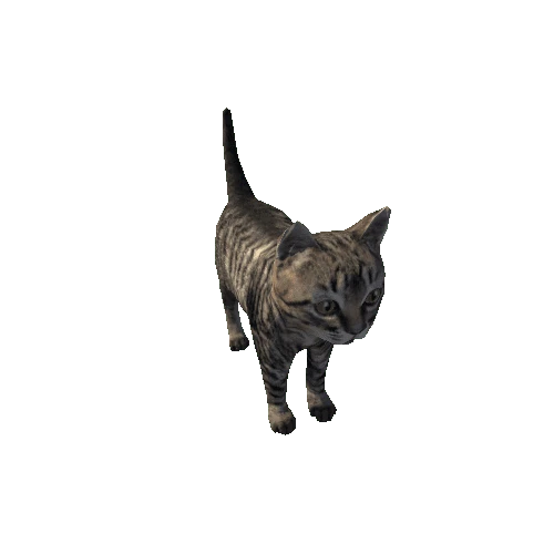 Kitten_LowPoly_c1