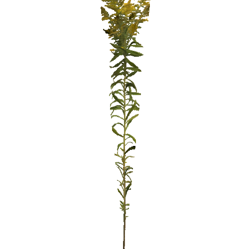 prefab_Terrain_flower_goldenrod_01_1