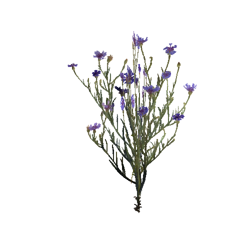 prefab_flower_cornflower_01_cross_1