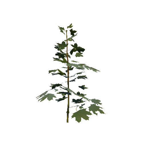 prefab_maple_bush_01